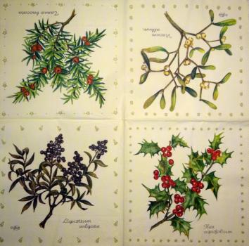 211 Christmas Flowers - 3-ply - CS